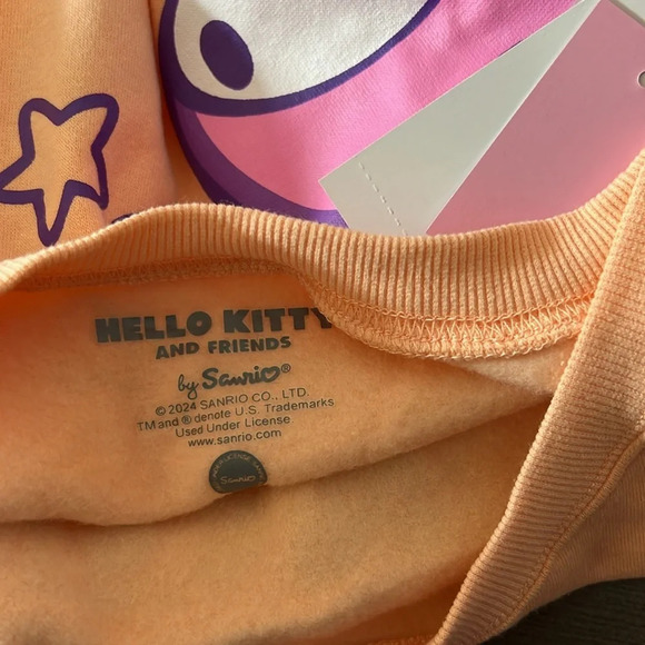 Hello Kitty & Friends Kindness Matters Graphic Sweatshirt Size 1X,2X,3X - Picture 11 of 13